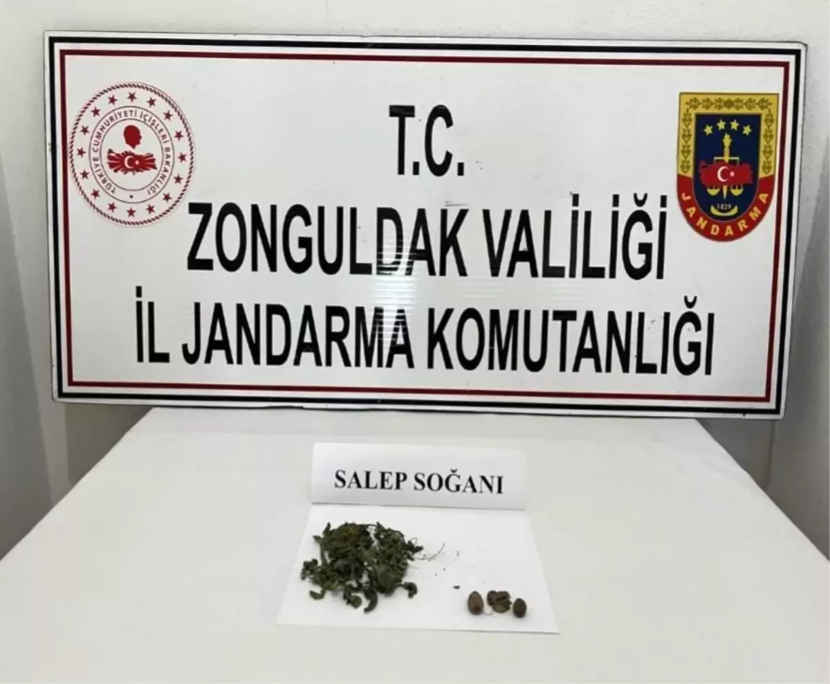 Jandarma şüphelendiği araçta 2 adet salep soğanı ele geçirdi