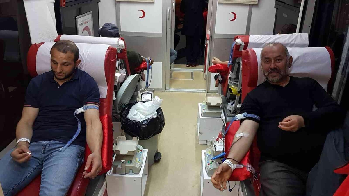 Son dakika haber: Milli Boksör kan bağışlayıp bronz madalya kazandı
