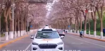 Pekin'de ilk sürücüsüz taksiye onay
