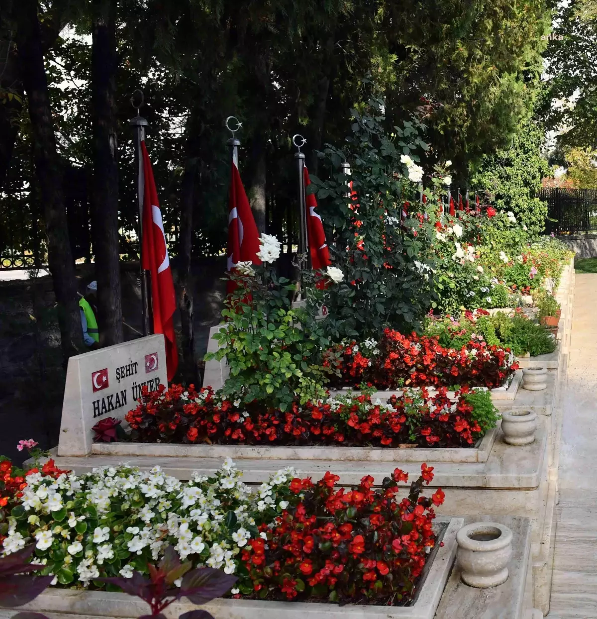 Ankara Büyükşehir Belediyesi'nden Bayramda Şehit Yakınlarına Ulaşım Desteği