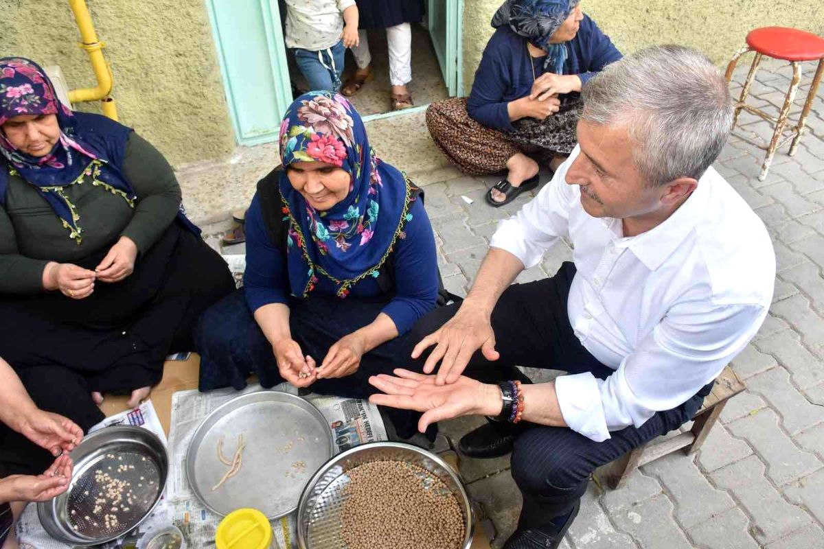 Başkan kollarını sıvadı, yuvalama yuvarladı