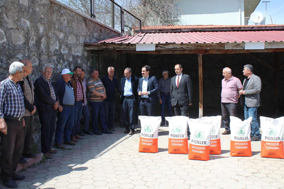 Destekleme kapsamına alınan Domaniç'te çiftçilere yağlık ayçiçeği tohumu dağıtıldı