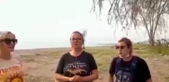 Dikili'de 5 Köpek Zehirlenerek Öldürüldü