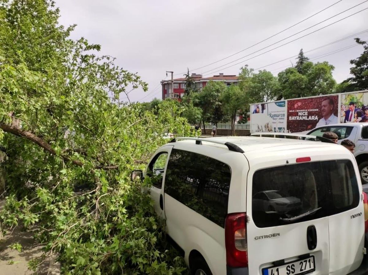 Diyarbakır\'da seyir halindeki ticari aracın üstüne ağaç devrildi