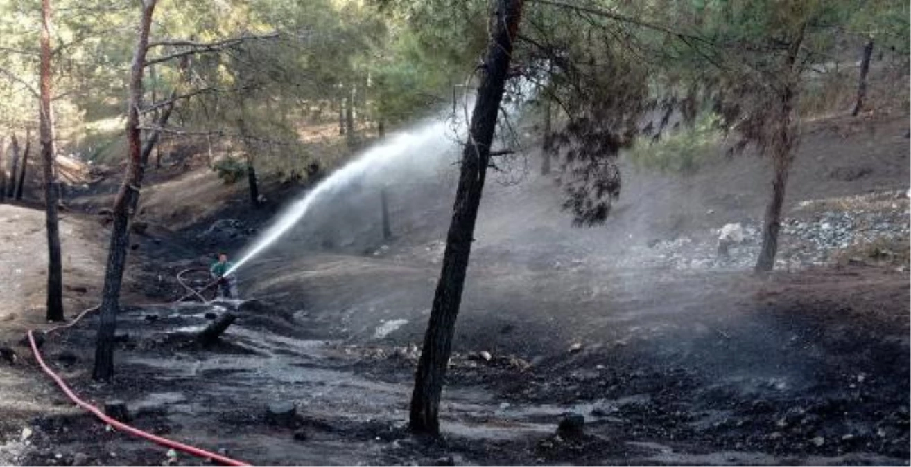 Son dakika haberi | Gaziantep\'te örtü yangını