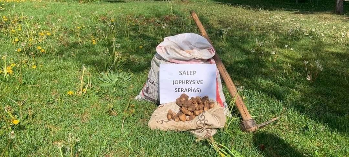 Salep soğanı toplayan 8 kişiye 872 bin lira ceza