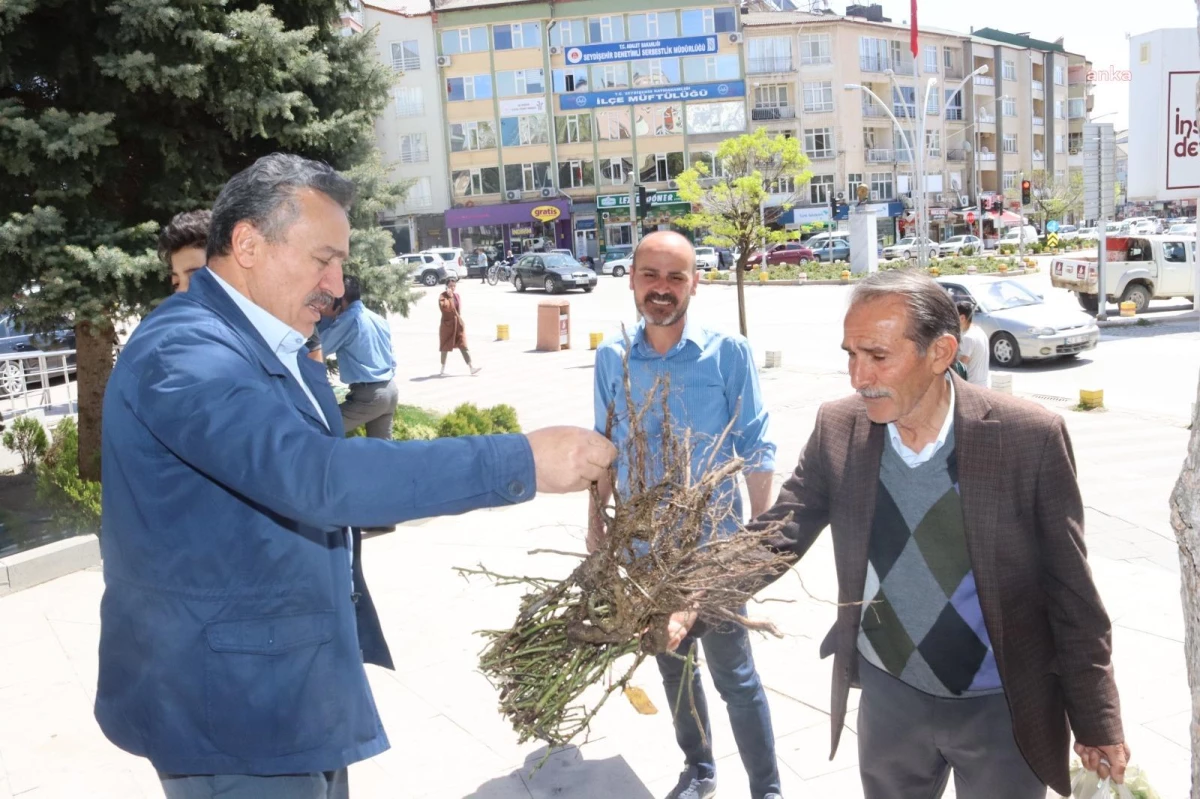 Seydişehir Belediyesi 35 Bin Gül Fidanı Dağıttı