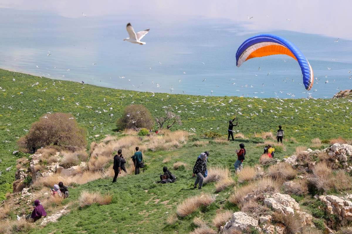 Van Gölü\'ndeki Çarpanak Adası fotoğraf tutkunlarını ağırladı