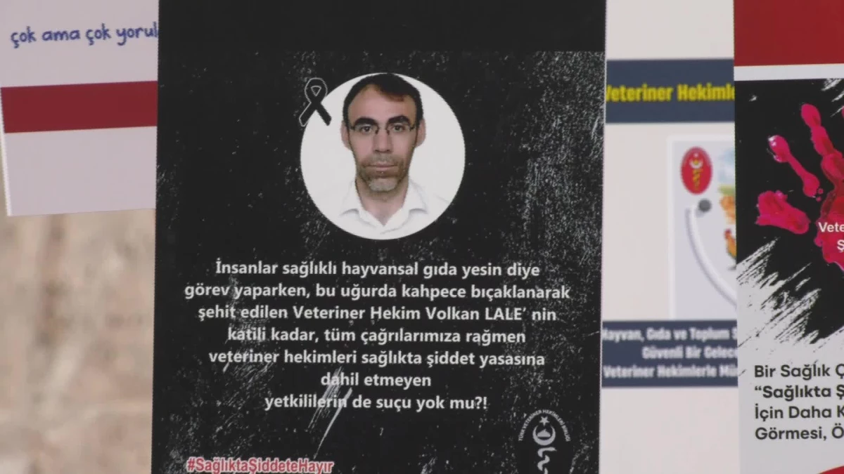 "Veteriner Hekimlerin Bir An Önce Sağlıkta Şiddet Uygulaması Kapsamına Alınmasını Zaruri Görüyoruz"