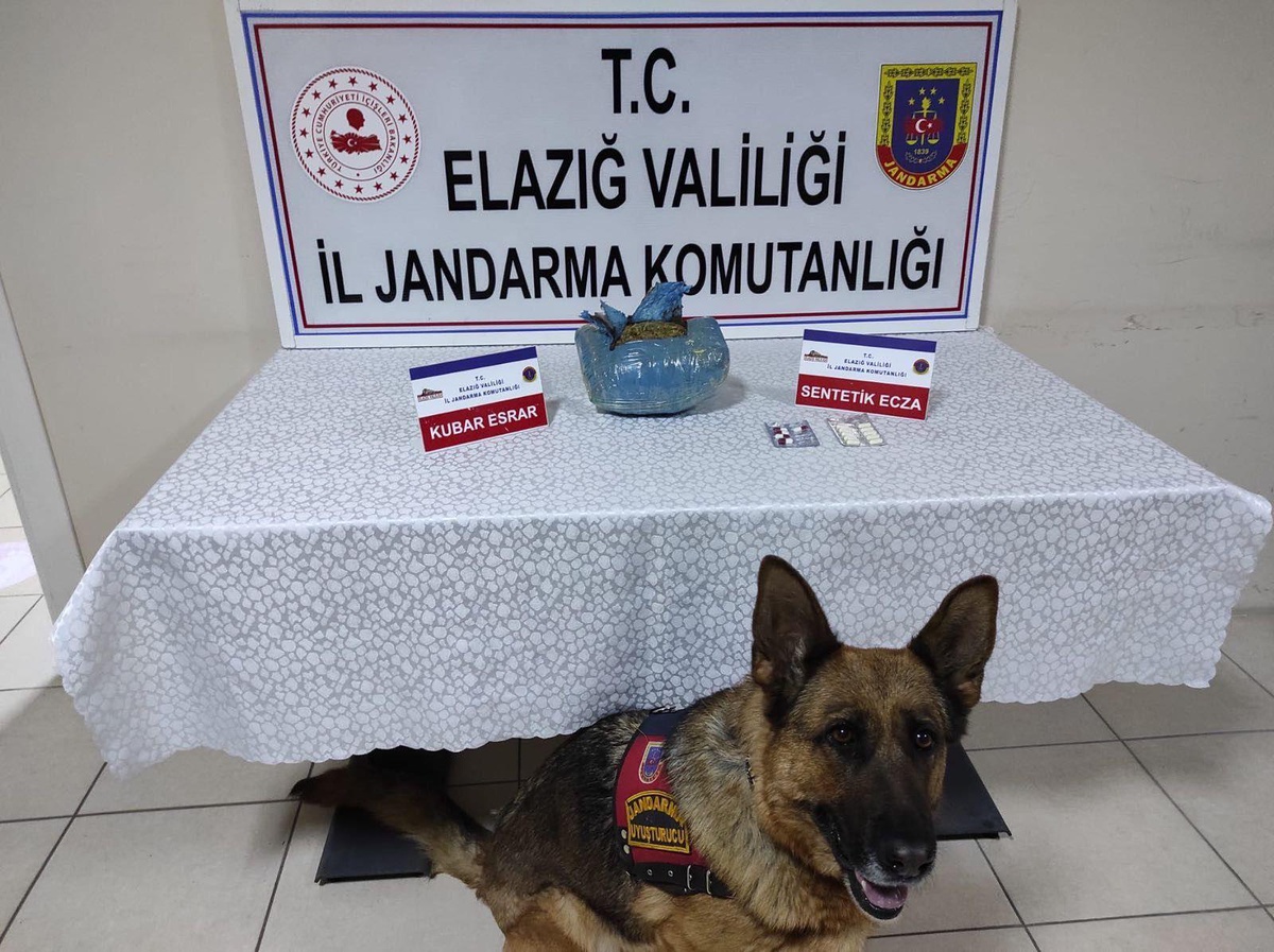 Elazığ\'da çantasında uyuşturucu ele geçirilen yolcu gözaltına alındı