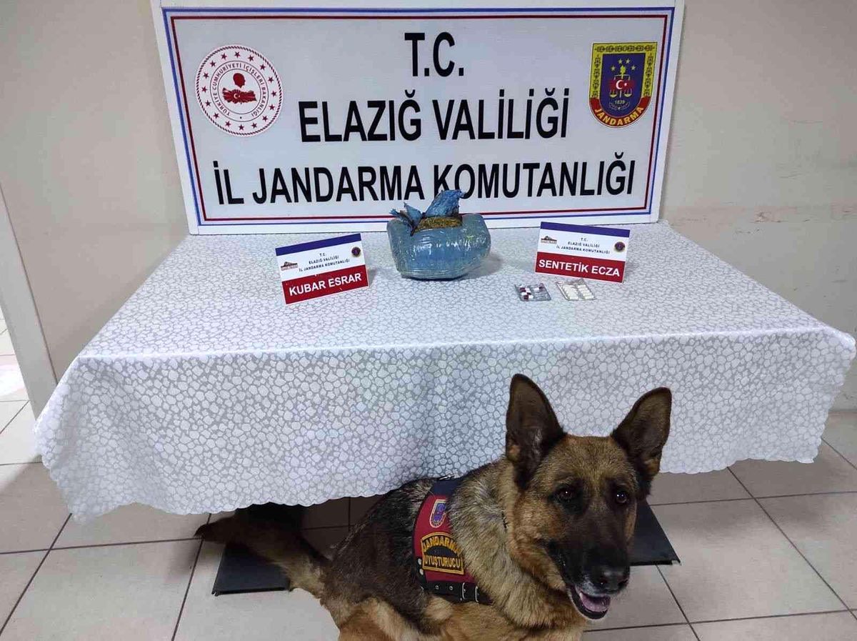 Son dakika... Elazığ\'da uyuşturucu operasyonu: 1 gözaltı