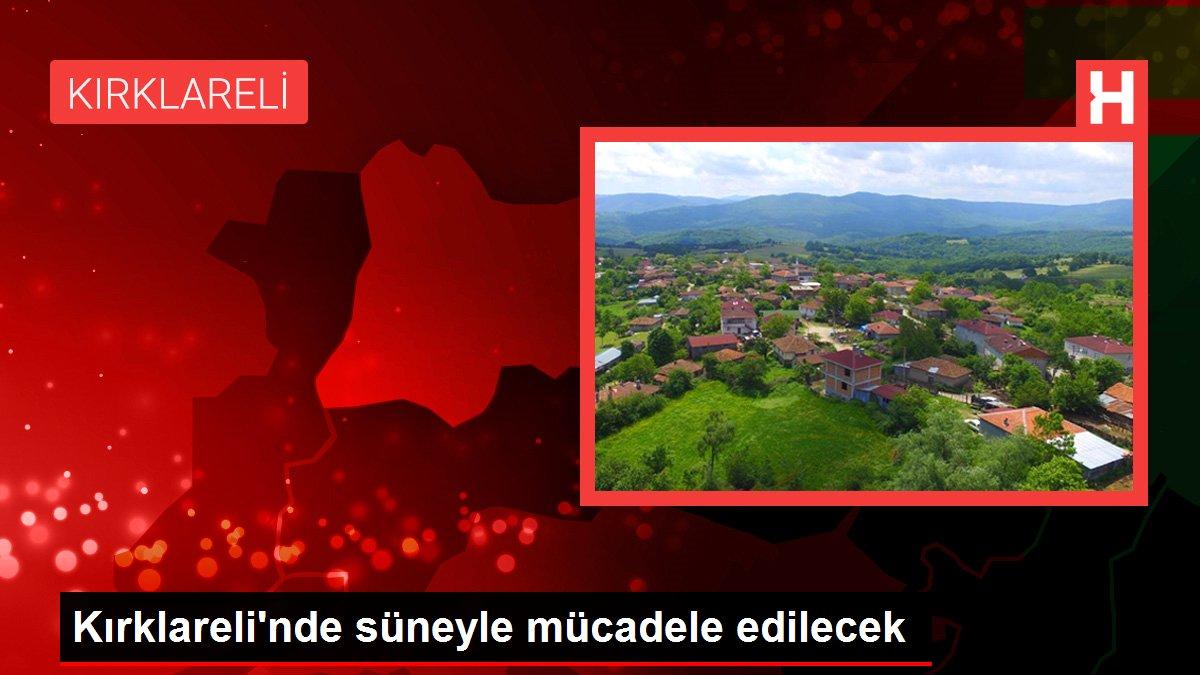 Kırklareli'nde süneyle mücadele edilecek