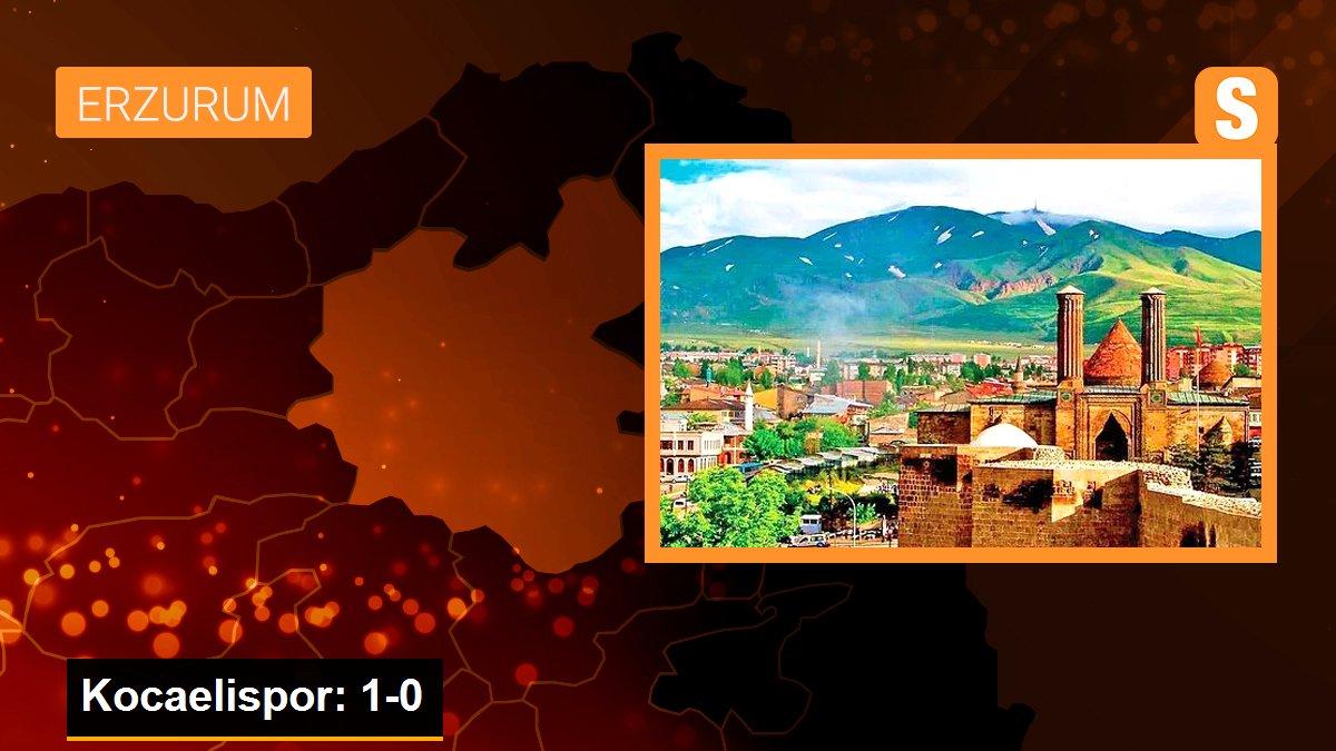 Kocaelispor: 1-0