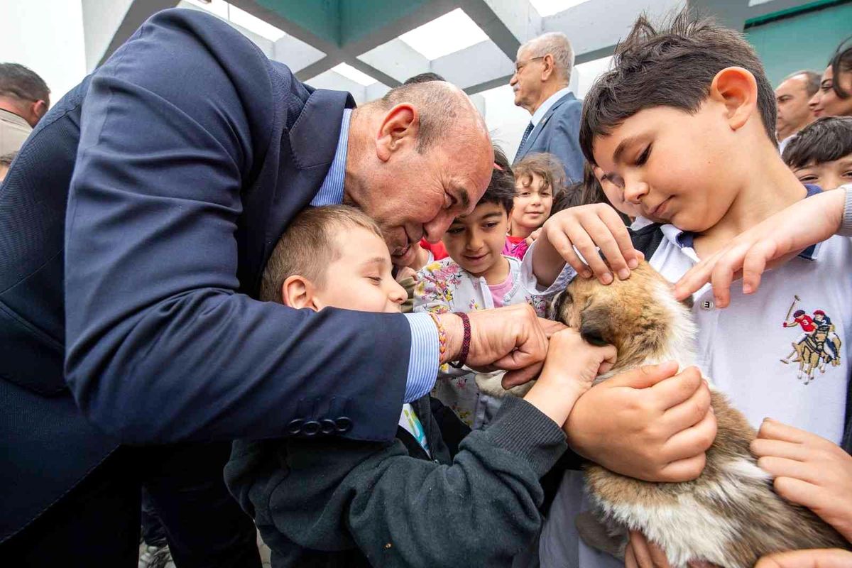 Sahipsiz dostlar İzmir'de emin ellerde