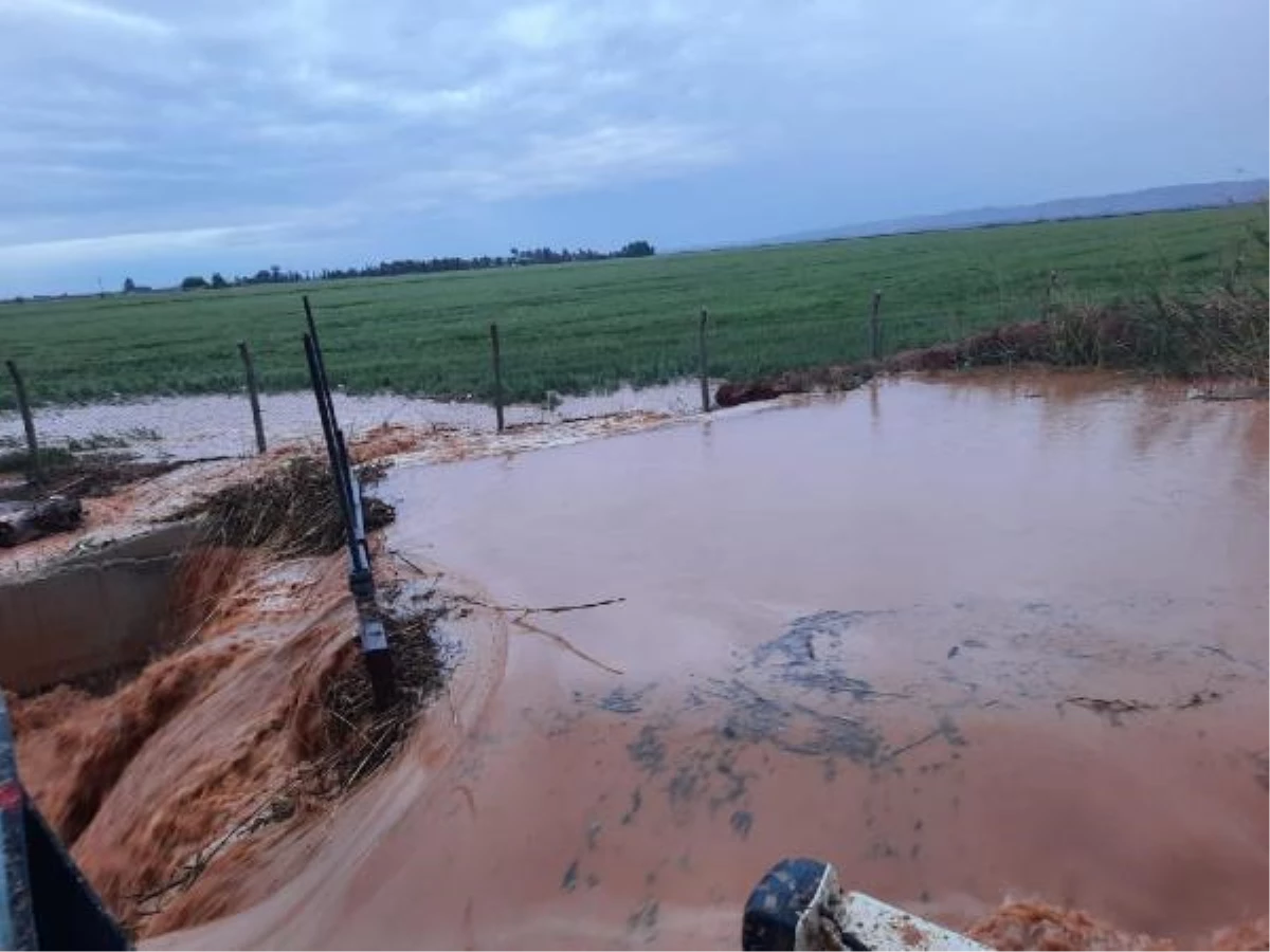 ŞANLIURFA'DA SAĞANAK YAĞIŞ SELE DÖNDÜ, ARAZİLER VE HAYVANLAR SULAR ALTINDA KALDI