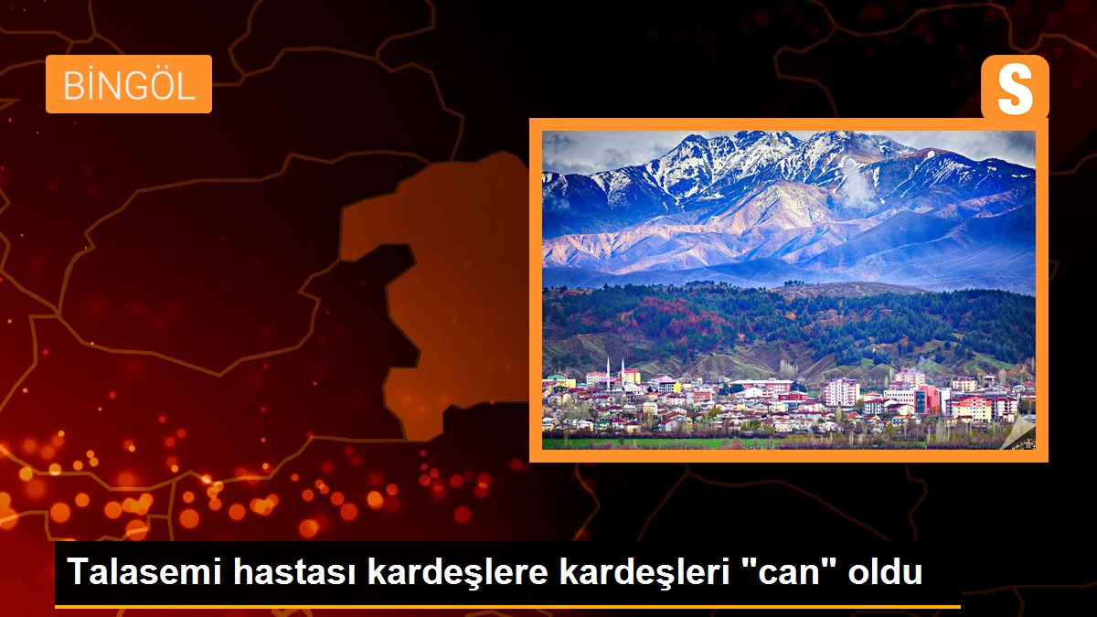 Talasemi hastası kardeşlere kardeşleri "can" oldu