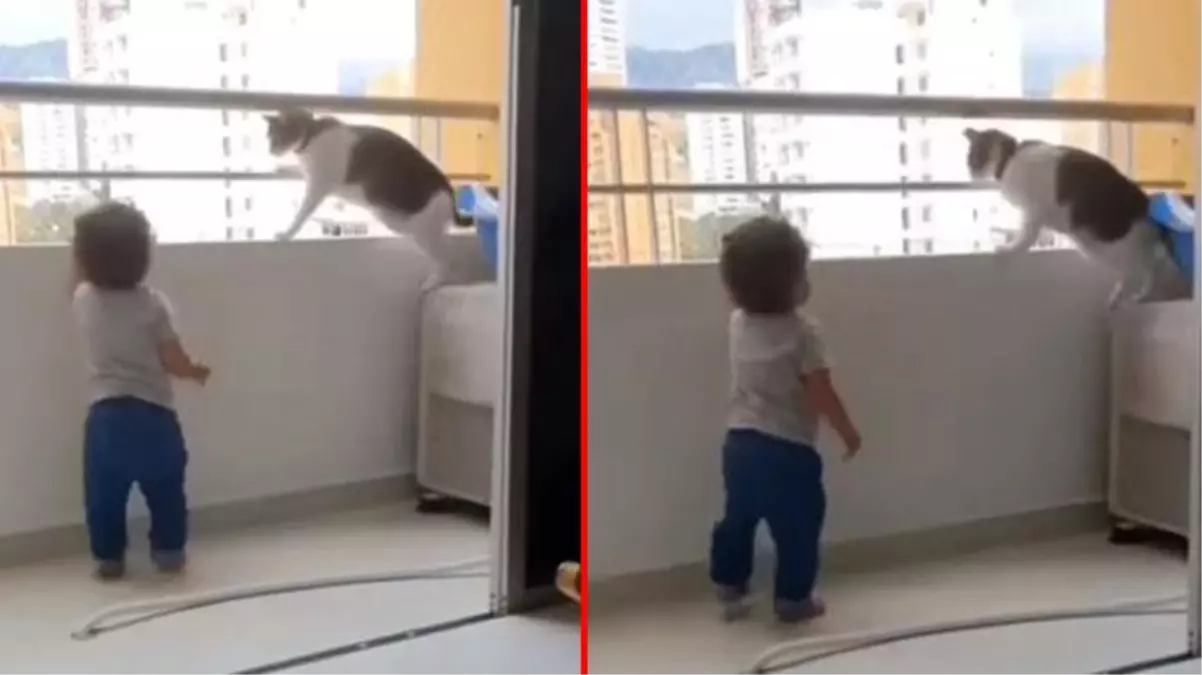 Yürümeye başlayan bebek balkondan sarkmaya çalıştı, kedinin hareketi boğazları düğümledi