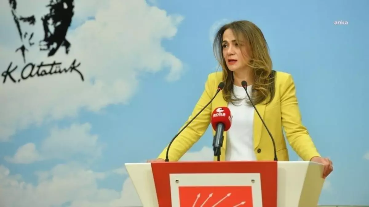 Gamze Akkuş İlgezdi: '1 Gecede Yönetim Şeklini Değiştirenler, Sağlık Çalışanları İçin Kılını Kıpırdatmıyor'