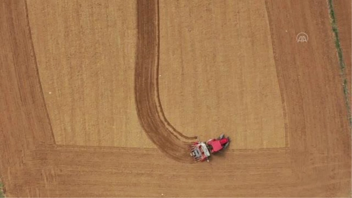 Kastamonu'da tekstil sektörü için kenevir üretimine başlanıyor