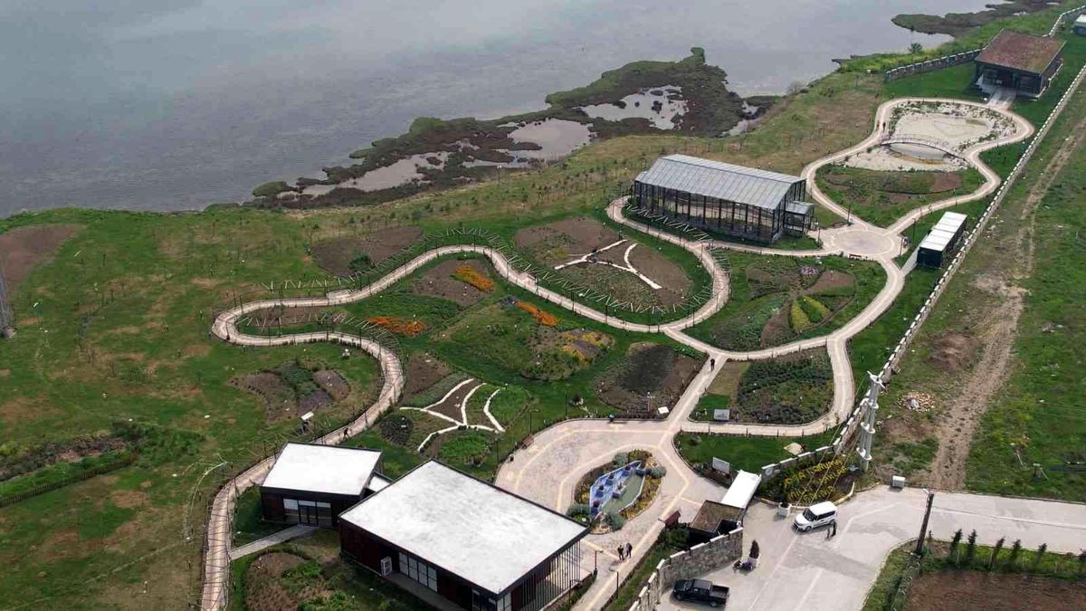 Yalova Altınova tıbbı bitki üretiminde de söz sahibi olacak