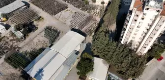 Buca Fırat Fidanlığı Parka Dönüşecek