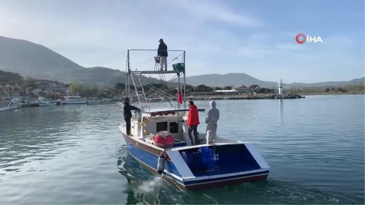 Gökçeada açıklarında kılıç balığı avı renkli görüntülere sahne olduYunanistan Sahil Güvenlik ekiplerine kafa tutan Türk balıkçı 50 kilogram...