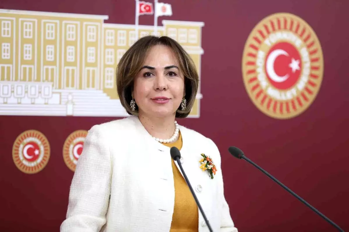 AK Parti\'li Yılmaz: "Mersin\'de 13 baraj ve 8 gölet inşaatı devam ediyor"