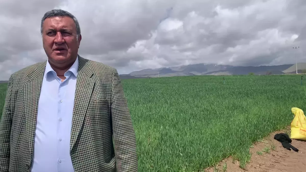 CHP'li Gürer: 'Gübre Fiyatları Bir Yılda Yüzde 342 Artınca Çiftçi Eskisi Kadar Gübre Atamadı'