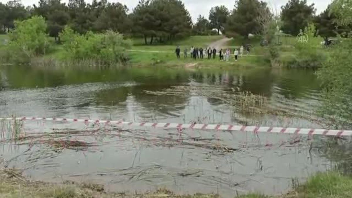 Gölete giren at telef oldu