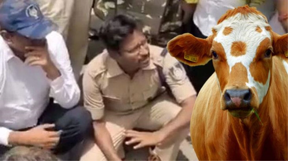 Hindistan\'da kutsal olarak görülen ineği kesen şahıslar linç edilerek öldürüldü