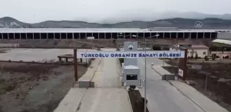 KAHRAMANMARAŞ - Türkoğlu ilçesindeki fabrikalarda çalışacak işçiler belediye hoparlöründen aranıyor
