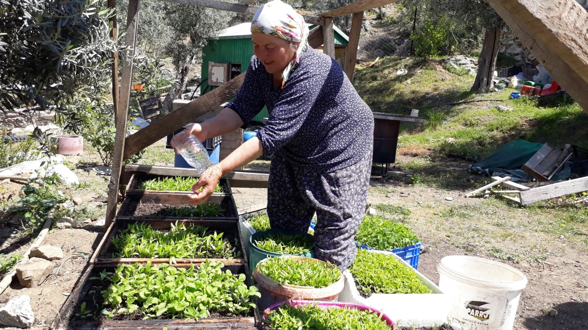 Köyceğiz\'in "Çandır Mahallesi" eko turizmle ön plana çıkıyor