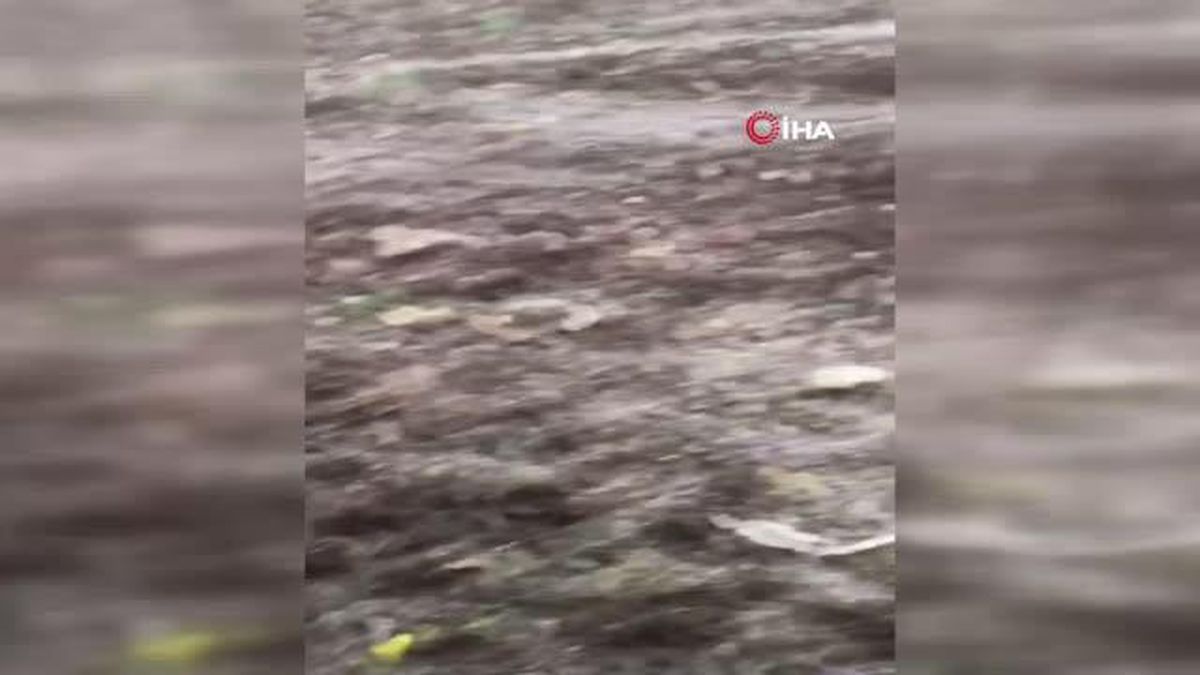 Malatya'da şiddetli sağanak ve dolu etkili oldu