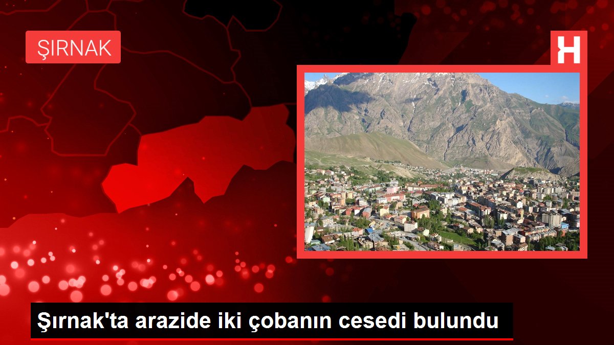 Şırnak'ta arazide iki çobanın cesedi bulundu