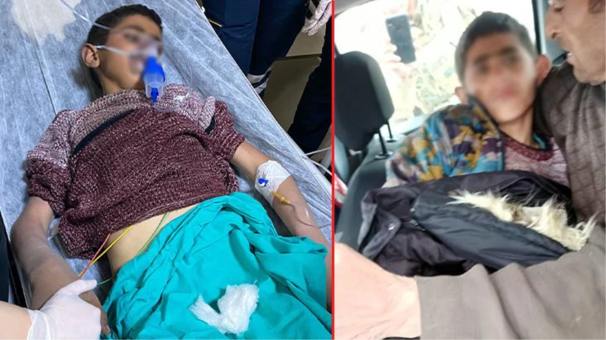 Kars\'ta yaylada kaybolan 12 yaşındaki Tarık, 67 saat sonra uyurken bulundu