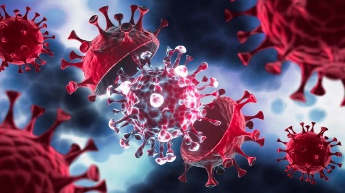 16 ülkede görülen "gizemli hepatit" virüsü Türkiye\'de var mı? Uzmanlar yanıtladı