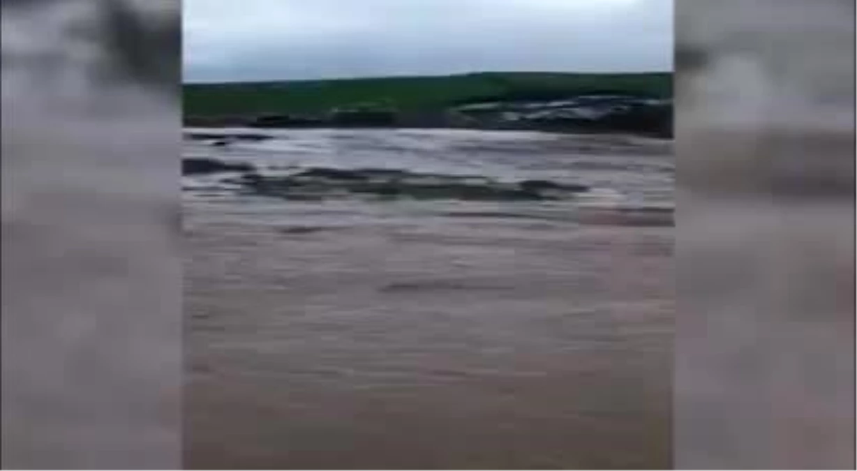 Aksaray\'da Yoğun Yağış Nedeniyle Dereler Taştı