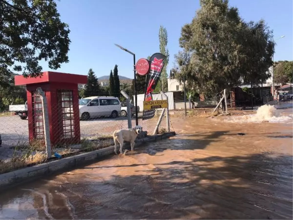 BODRUM\'DA İSALE HATTI PATLADI, YOL TRAFİĞE KAPANDI