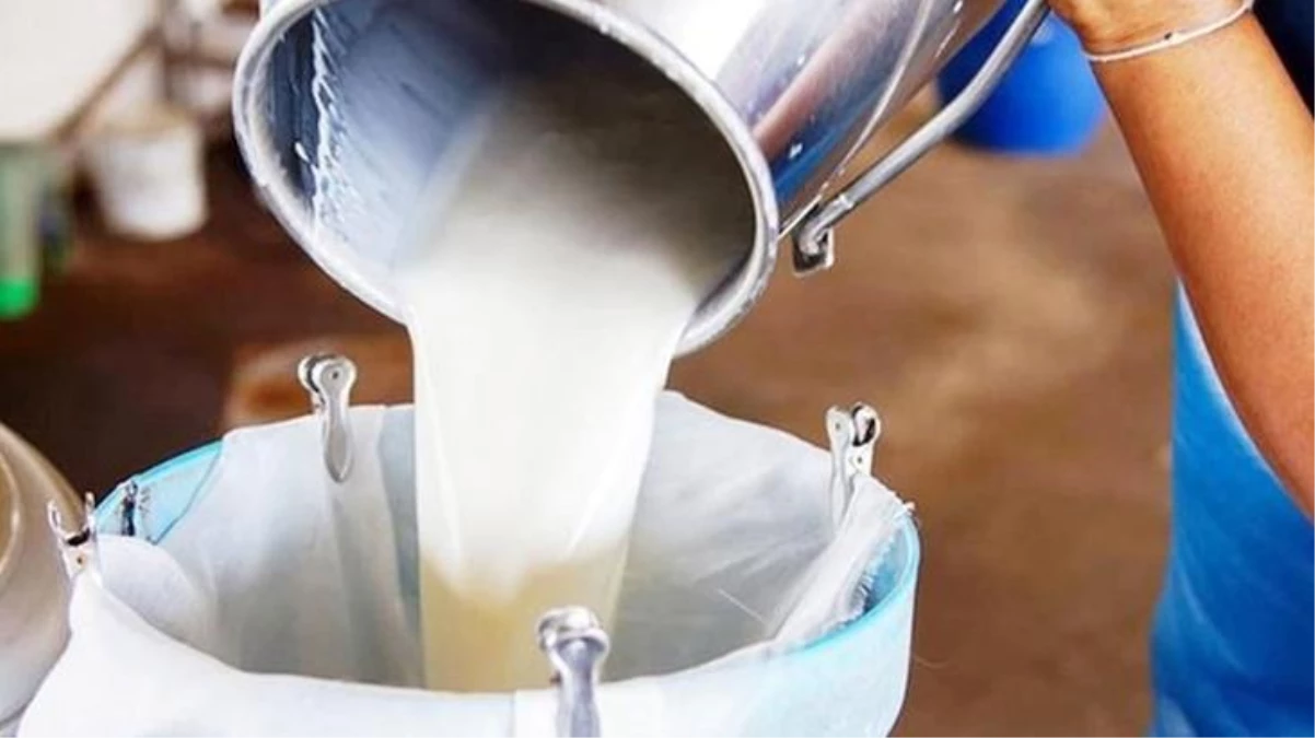 Çiğ süte yüzde 33 zam geldi! Süt ve süt ürünlerinde fiyatlar yükselecek