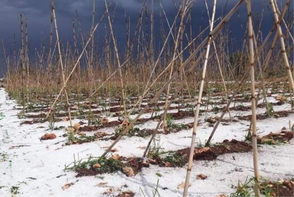 Erdemli\'de dolu yağdı, ekili alanlar zarar gördü