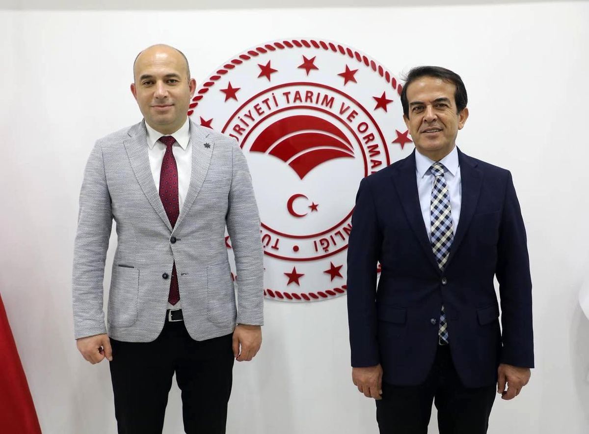 Antalya\'da çilek üretimi ve ihracatı artıyor