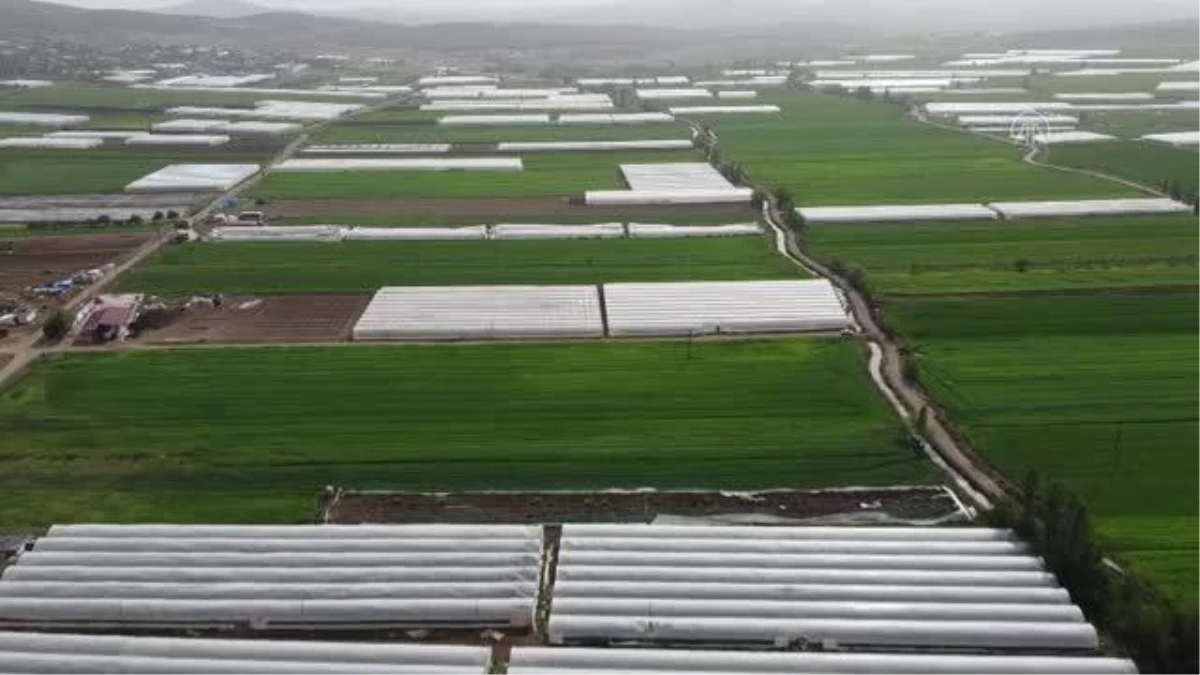 KAHRAMANMARAŞ - Seraları zarar gören çiftçiler destekle yeniden üretime başladı