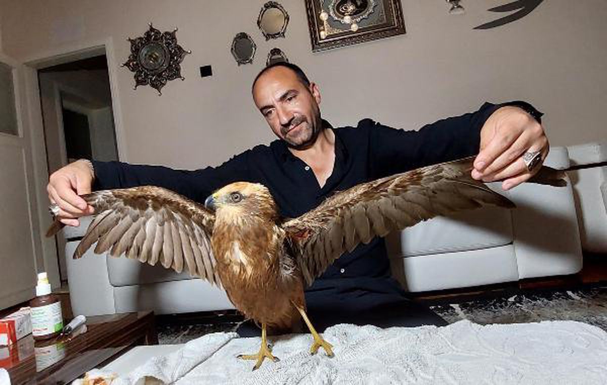 KANADI KIRIK KARA ÇAYLAĞI 10 KİLOMETRE KUCAĞINDA TAŞIDI