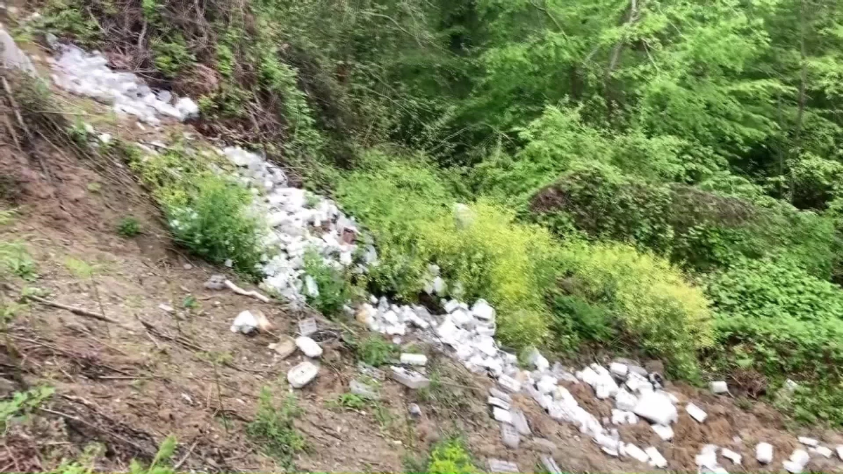 Ormana atılan çöpler tepki çekti