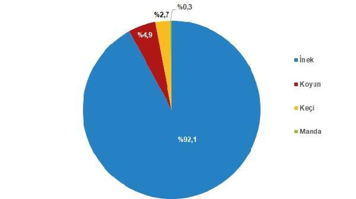 2021\'de kırmızı et üretiminde yüzde 9,3 artış