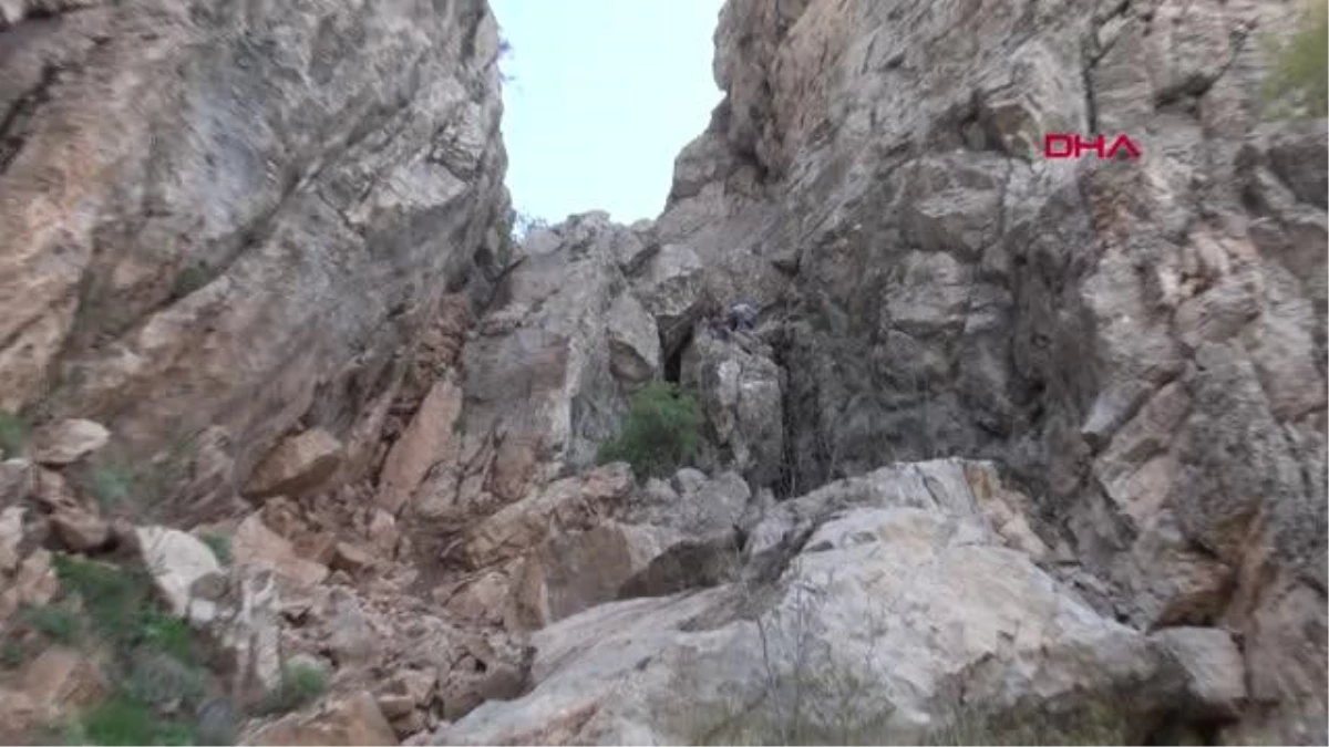 BALKAYA DAĞLARI'NDA PANCAR TOPLAYIP, PİKNİK YAPTILAR