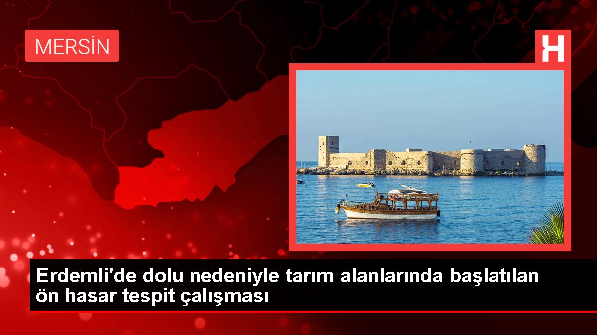 Erdemli'de dolu nedeniyle tarım alanlarında başlatılan ön hasar tespit çalışması