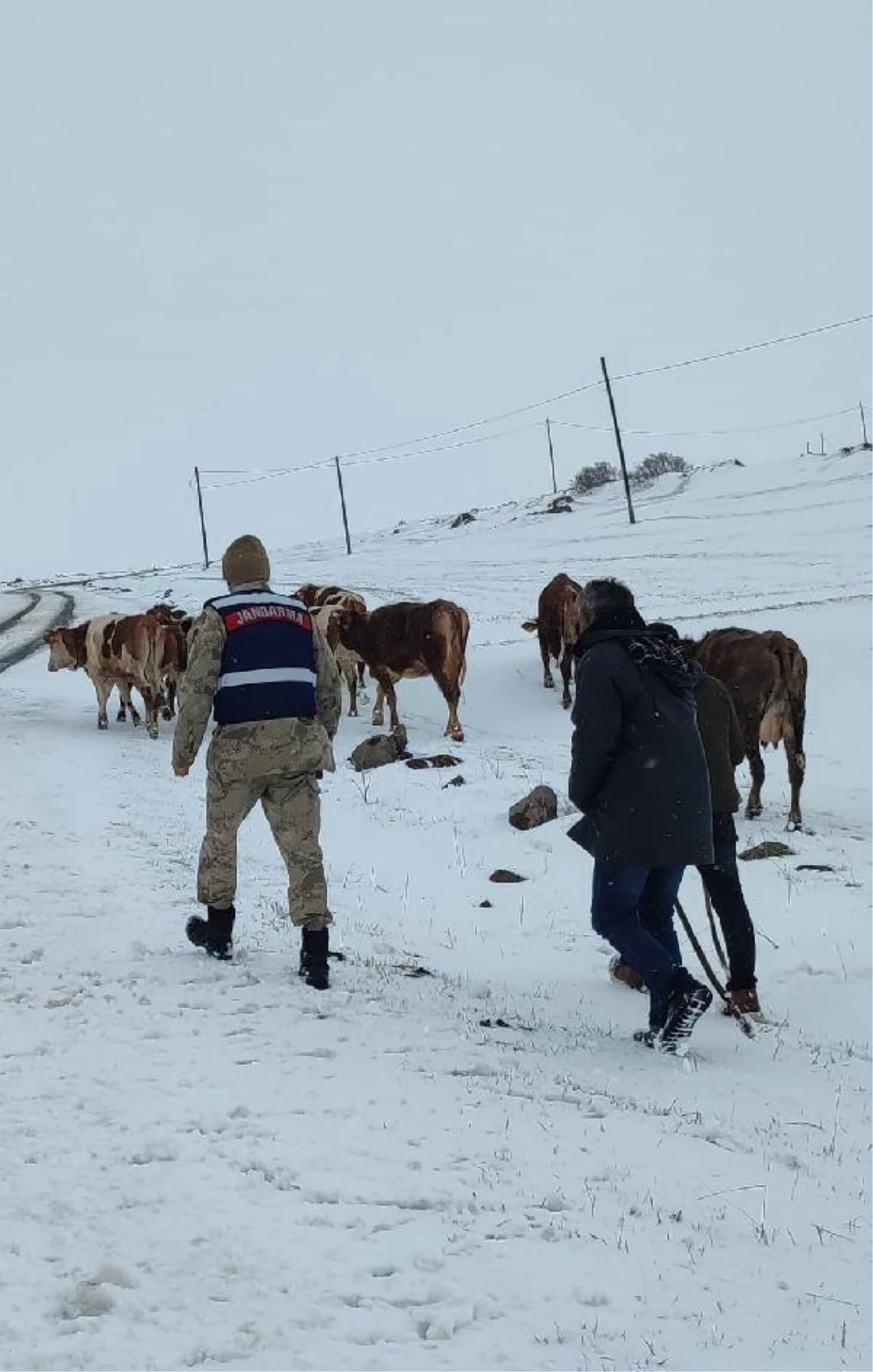 Hayvanlarını otlatırken karda mahsur kalan kadın, 4 saatte kurtarıldı