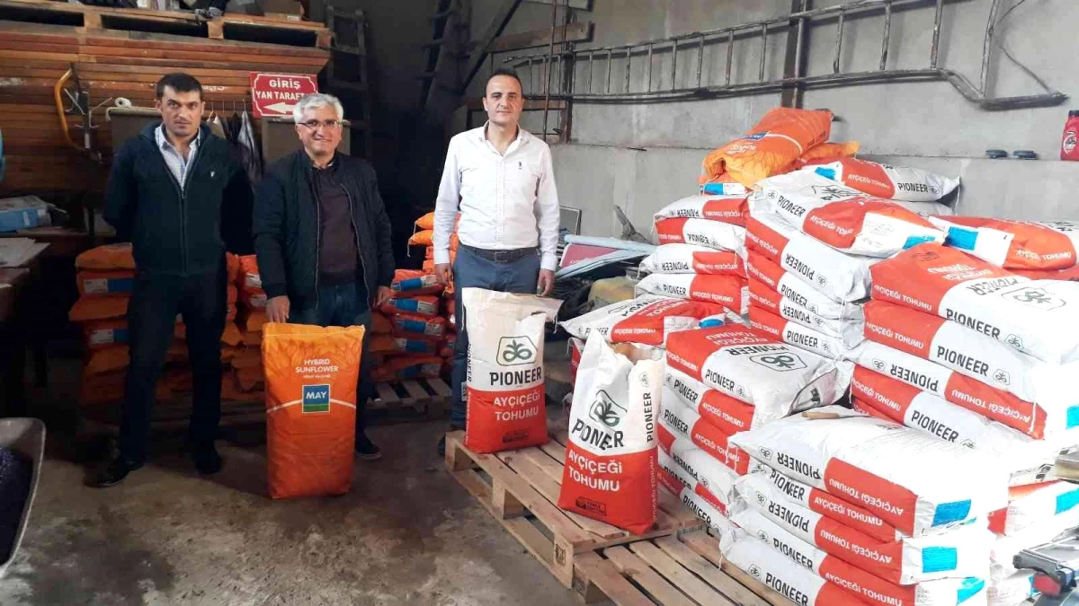 Simav\'da çiftçilere 3 bin 500 kilogram yağlık ayçiçeği tohumu dağıtıldı