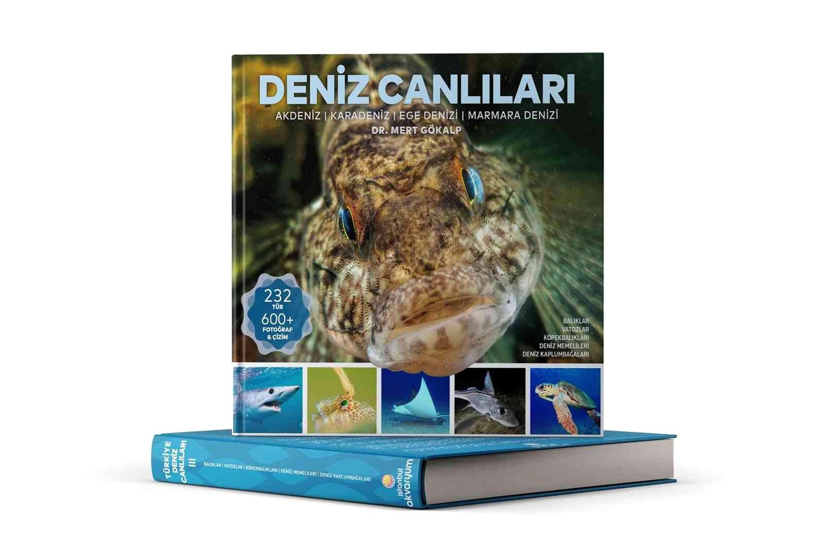 Türkiye\'nin en geniş "Deniz Canlıları" kaynağı okuyucuyla buluştu